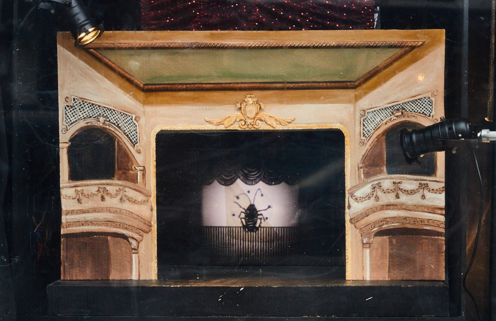 Amour Toujours - Theatre View - Crop